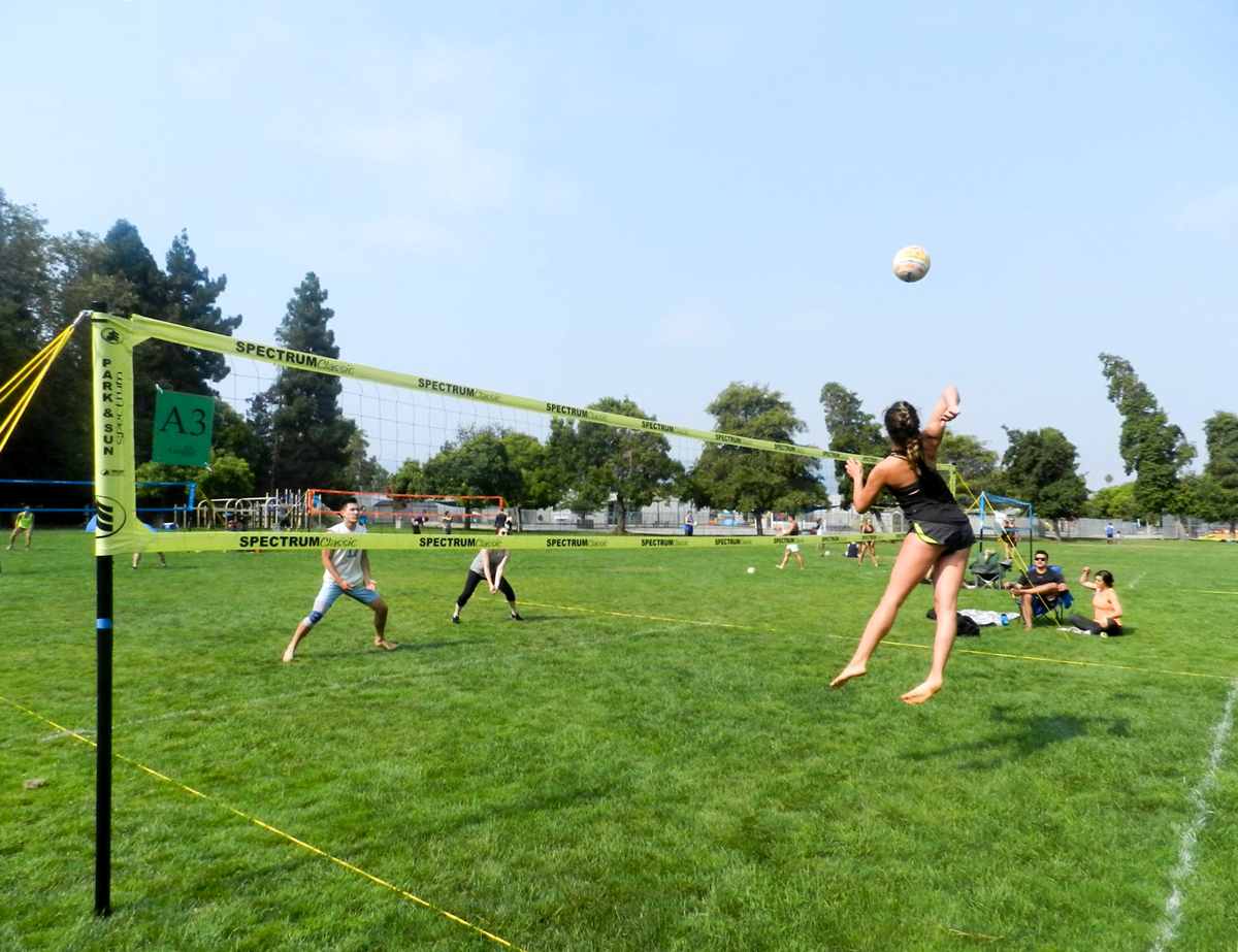 Reverse Coed grass volleyball - Yellow Spectrum Classic Net Systems