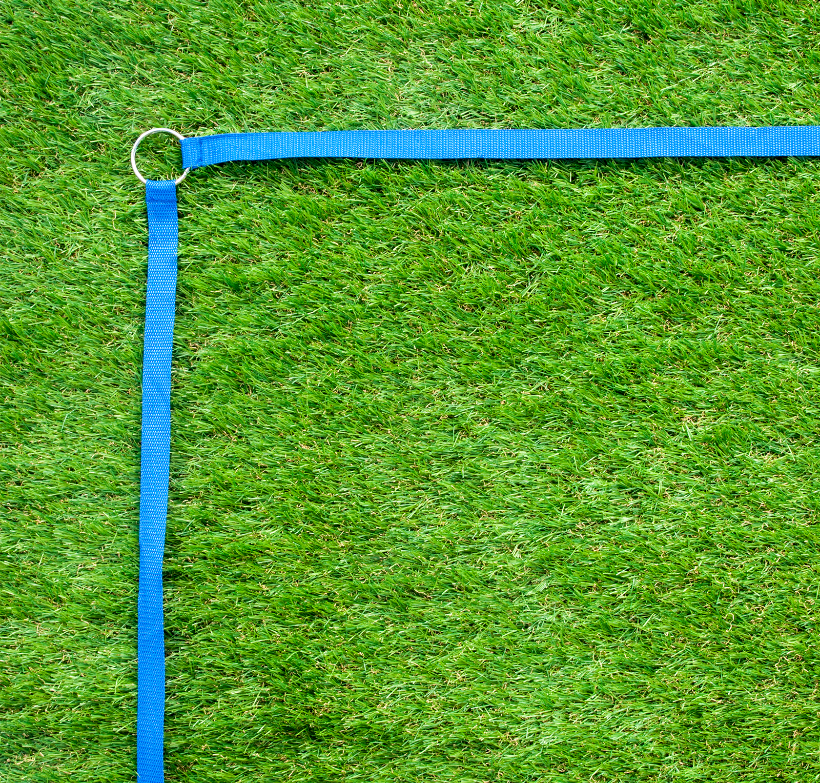 Pro adjustable 1 inch webbing volleyball grass boundary