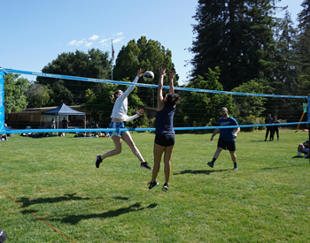 Park and Sports Tournament Flex 1000 Grass Volleyball