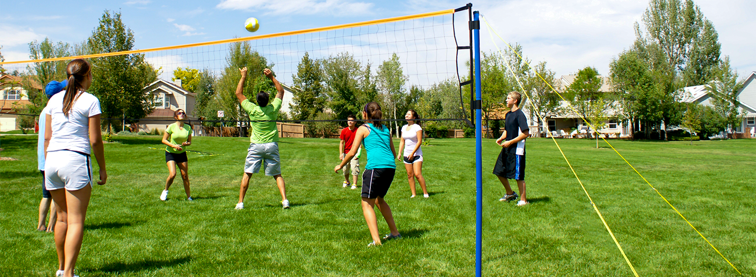 best outdoor volleyball net Best indoor volleyball net systems cobra volleyball for sale from mesa
